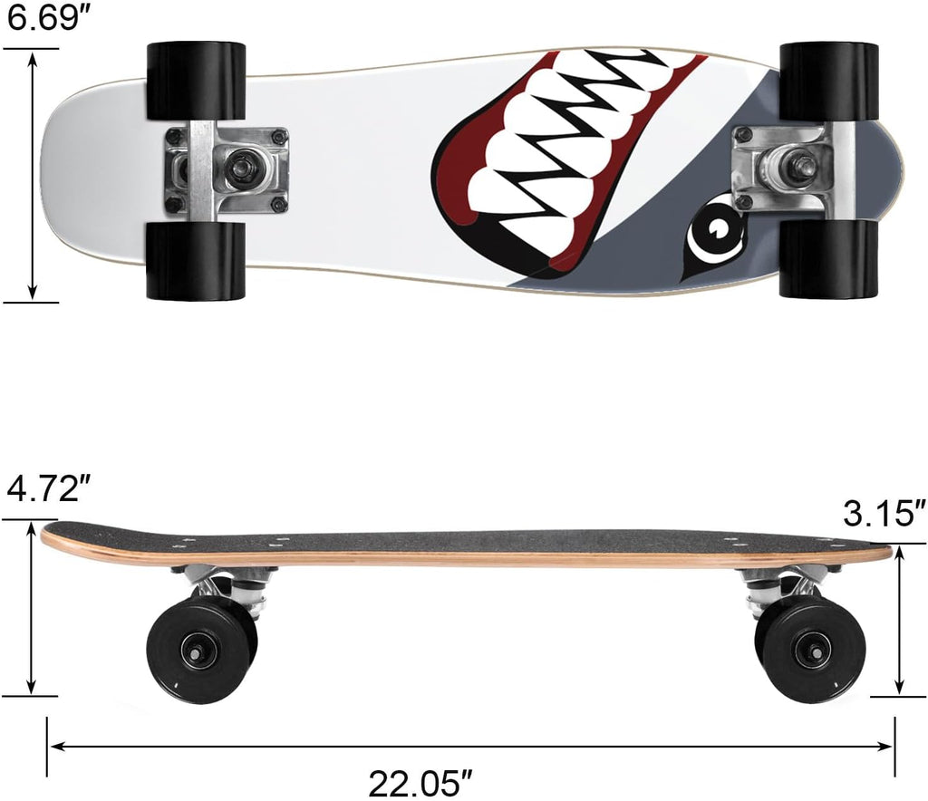 Skateboard Complete 22 Inch Mini  for Beginners Kids Boys and Girls
