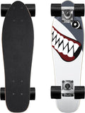 Skateboard Complete 22 Inch Mini  for Beginners Kids Boys and Girls