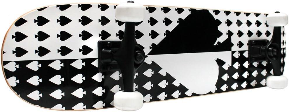 Complete Skateboard - Pro Style Quality - Maple 7-Ply Deck, Aluminum Trucks, Urethane Wheels, Precision Bearings - The Perfect Beginners