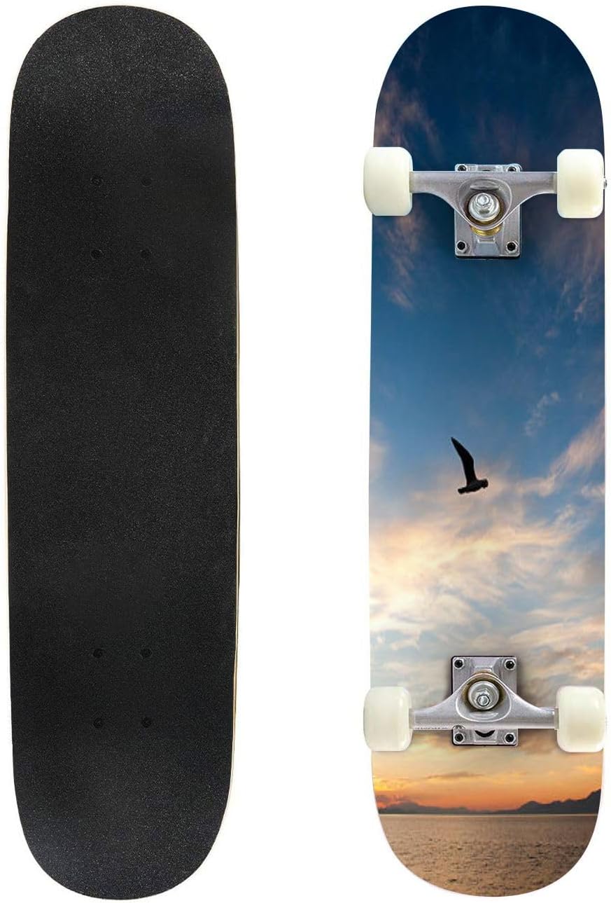 Beautiful Springtime Day  Skateboards for Beginners 31"x8" Maple Double Kick Concave Boards Complete Skateboards Outdoor for Adults Youths Kids Teens Gifts