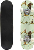 Skateboard Skate Board Canadian Maple Longboard 31'' Pro Complete Board w/Concave Skateboard for Beginners, Adults, Teens, Kids