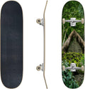 Skateboards Beautiful Colorful Tropical Sunset with Palm Trees Classic Concave Skateboard Cool Stuff Teen Gifts Longboard Extreme Sports for Beginners and Professionals